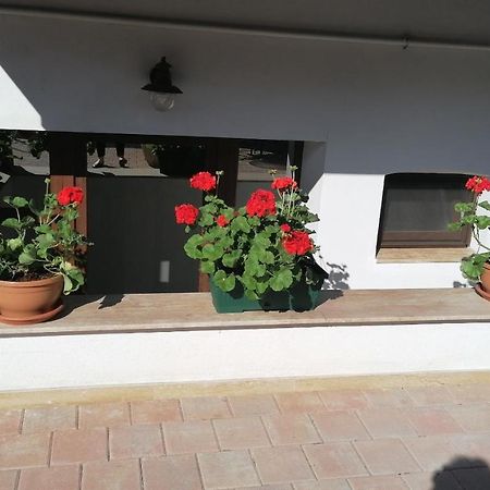 阿尔巴·尤利亚·Ana Boutique住宿加早餐旅馆 外观 照片